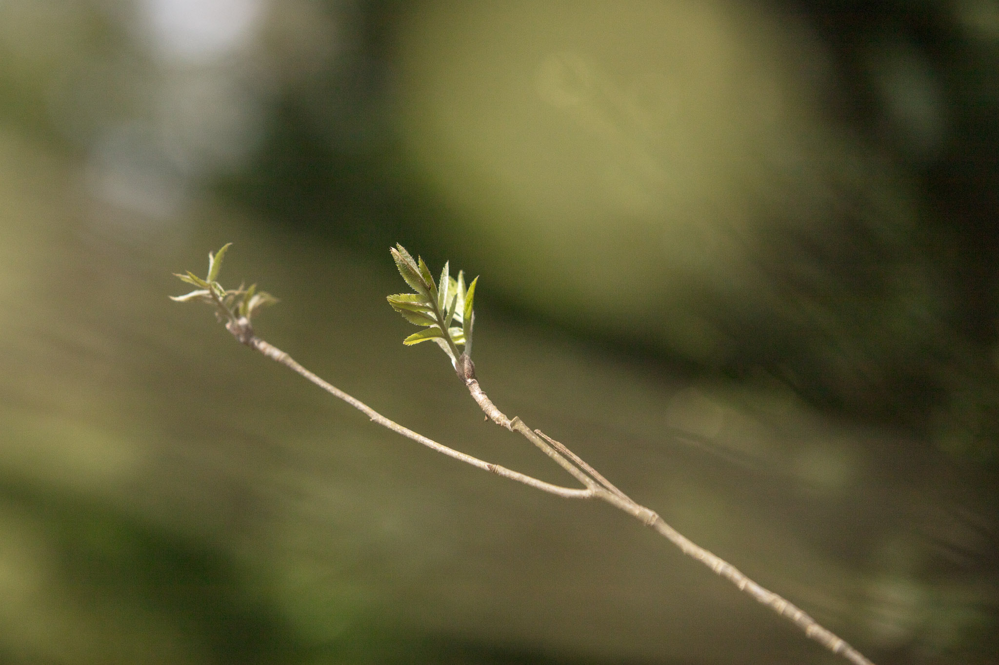 20220409151921 DP013976